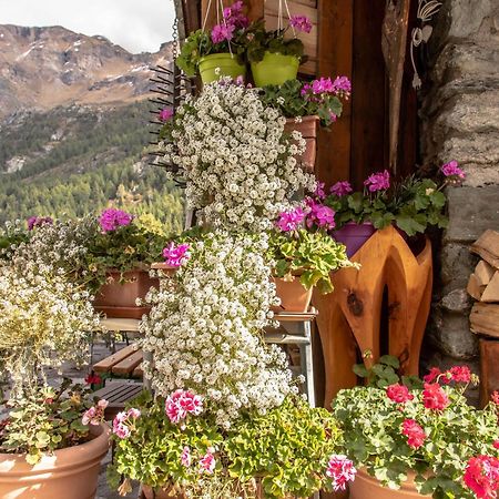 Hotel & Restaurant Perret - Mountain People Valgrisenche Exterior foto