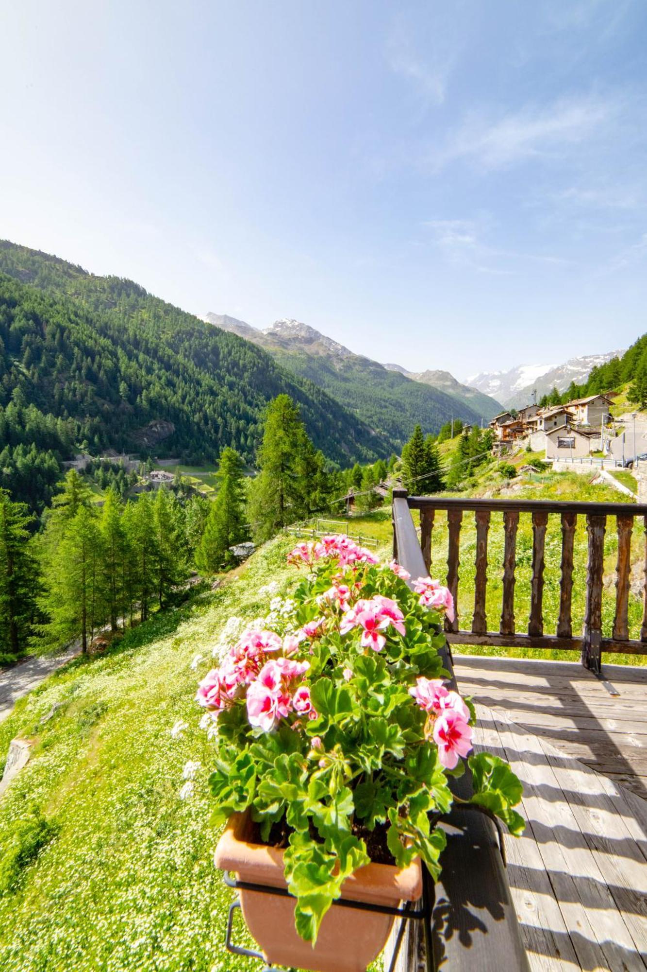 Hotel & Restaurant Perret - Mountain People Valgrisenche Exterior foto